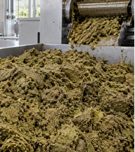 Avocado residue being prepared for biochar production